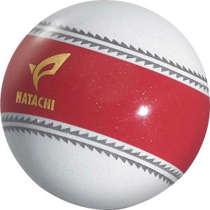 ハタチ HATACHI PGナビゲーション パ...の詳細画像5