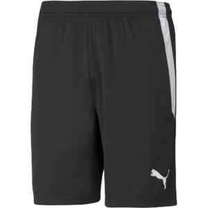 PUMA オシャレハーフパンツ‼️ PUMA（プーマ） トレーニング ハーフパンツ メンズ/レディース ハーフ