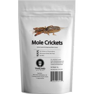 JRユニークフーズ JR UNIQUE FOODS 昆虫食 オケラ 15g TIU0007