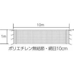 EVERNEW（エバニュー） EKU115 バレーボールネット9人制女子検定V116