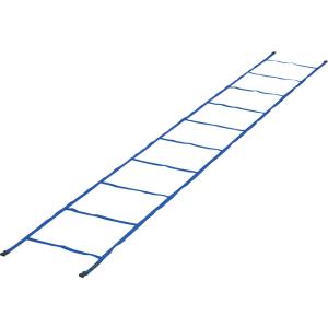 TOEI LIGHT トーエイライト カラースピードラダー 学校機器 器具