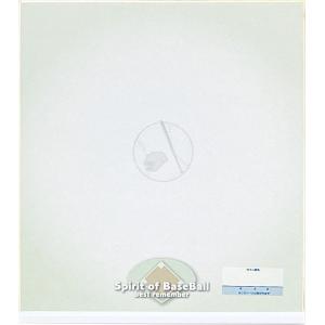 UNIX（ユニックス） サイン色紙 横書き大判サイズ 無地 記念品