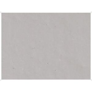 ヨネックス YONEX ウェットスーパーグリッ...の詳細画像1