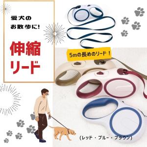 伸縮リード ペット 犬 小型犬  散歩 ５ｍ コンパクト 伸びる ペットリード 巻き取り リード リールリード 巻き取り式 伸縮 片手  ワンタッチ