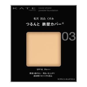 KATE 【定形外郵便送料無料】カネボウ ケイト スキンカバーフィルター