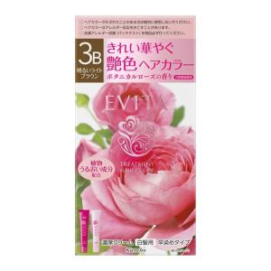 SHISEIDO（資生堂） アウスレーゼ ヘアクリームN100g|資生堂認定