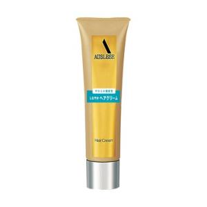 SHISEIDO（資生堂） アウスレーゼ ブリランチンN ポマード 80g : フジ