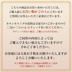資生堂 メーキャップ HANEN FUDE ア...の詳細画像3