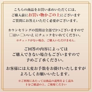 資生堂 メーキャップ KATANA FUDE ...の詳細画像3