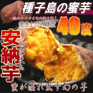 安納芋 送料無料 2kg 鹿児島県 種子島産 安納 芋 蜜芋 2個購入で1キロおまけ！｜siasunet