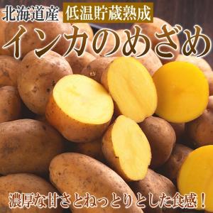 北海道産　インカのめざめ　5kg　　低温貯蔵熟成｜siasunet