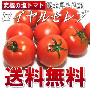 塩トマト ロイヤルセレブトマト 送料無料 M-Sサイズ 11〜16玉入｜siasunet