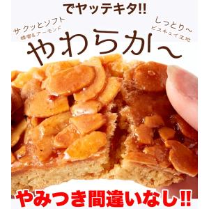 ポイント消化 送料無料 訳あり お試し 個包装...の詳細画像1