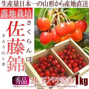 サクランボ 佐藤錦 秀品 山形県産 バラ詰め 2L玉1kg ...