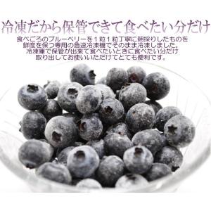 ブルーベリー 国産 冷凍 産地直送 天然サプリ...の詳細画像2
