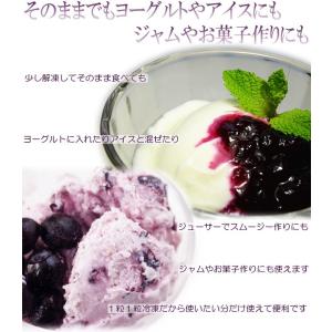 ブルーベリー 国産 冷凍 産地直送 天然サプリ...の詳細画像3