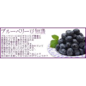 ブルーベリー 国産 冷凍 産地直送 天然サプリ...の詳細画像4