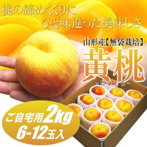 山形産 黄桃 2kg箱 6−12玉 早期予約受付開始 送料無料　｜siasunet