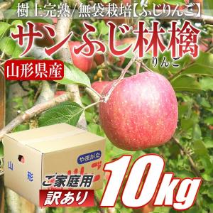 林檎 りんご リンゴ サンふじ 訳あり 約10kg 山形県産 バラ詰め　