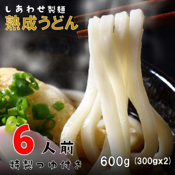 1000円ポッキリ 熟成うどん うどん 讃岐うどん 6人前 600g (300gx2袋) つゆ付き送...