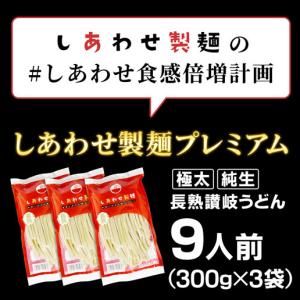 うどん 讃岐うどん 900g (300gx3袋...の詳細画像1