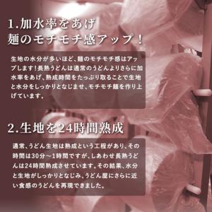 爆買 1000円ポッキリ うどん 讃岐うどん ...の詳細画像4