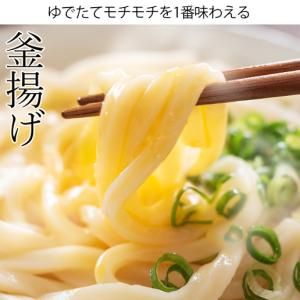 うどん 讃岐うどん 900g (300gx3袋...の詳細画像5