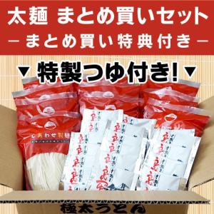 うどん 讃岐うどん 3kg 約30人前 つゆ付...の詳細画像1