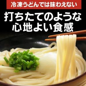 うどん 讃岐うどん 3kg 約30人前 つゆ付...の詳細画像3