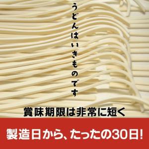 うどん 讃岐うどん 3kg 約30人前 つゆ付...の詳細画像4