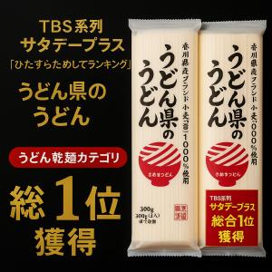 爆買 うどん 讃岐うどん 送料無料 乾麺 うど...の詳細画像1