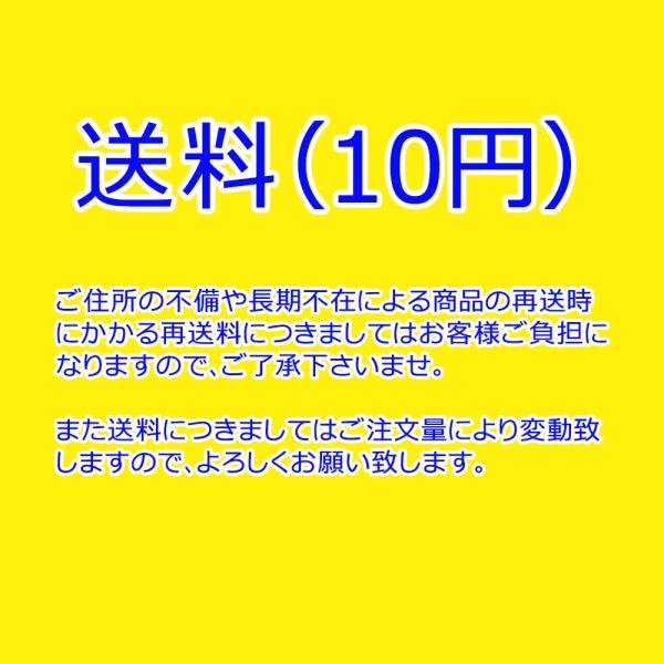【ご住所の不備や長期不在による商品の再送時にかかる再送料】専用ページ