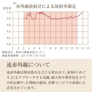 入浴剤 お風呂に入れる石 バスストーン イルコ...の詳細画像4