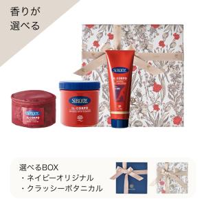 保湿クリーム 乾燥 肌荒れ うるおいケア VC200 APIS ビタミンC誘導体