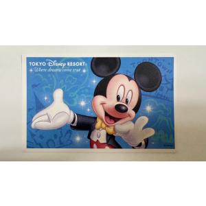 東京ディズニーリゾート 株主用パスポート 2026年8月31日まで 1枚 【未使用】