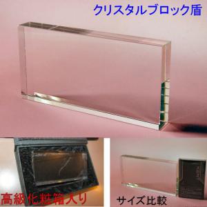 名入れ 彫刻 クリスタルブロック盾 152x76x20mm オリジナル彫刻 刻印 記念品 受賞 ギフト 記念盾