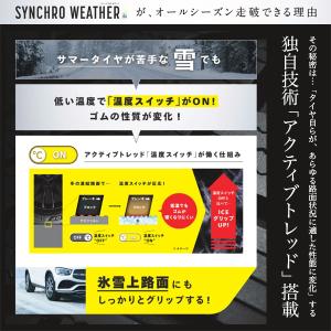 2026年製 ダンロップ シンクロウェザー 1...の詳細画像2