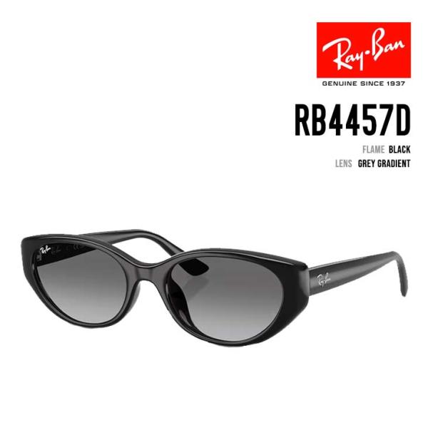 RAY-BAN レイバン RB4457D 667711 正規品 サングラス ローブリッジフィット 正...
