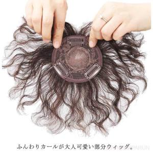 白髪隠し 部分ウィッグ ヘアピース 人毛100％ トップカバー つむじ付き 薄毛 抜け毛 ウェーブ カール ミセス 母の日 黒髪 ダークブラ
