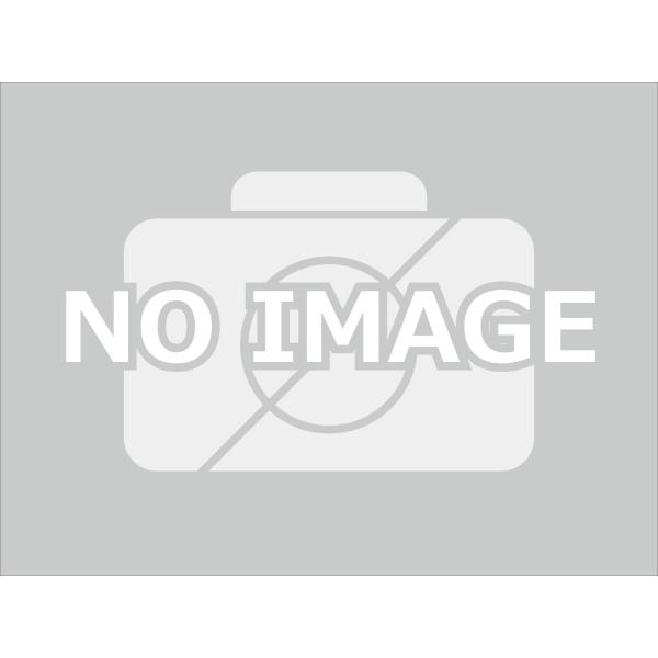 【6月予約】タミヤ 95190 アイアンビーク ジャパンカップ 2026 (VZシャーシ) ミニ四駆...