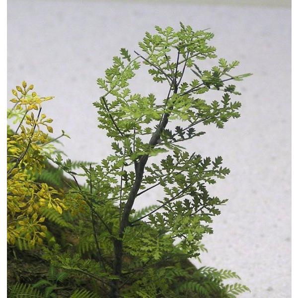 和巧 1/35 A-05-35 オーク(ヨーロッパナラ)