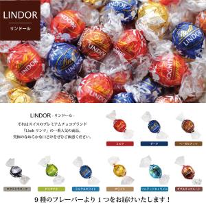 プチギフト LINDOR GODIVA スイス...の詳細画像2