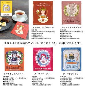 プチギフト カレルチャペック Loacker ...の詳細画像2