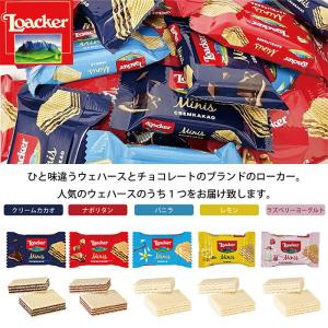 プチギフト カレルチャペック Loacker ...の詳細画像3