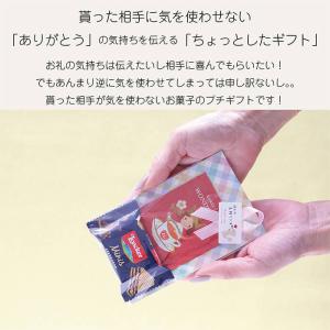 プチギフト カレルチャペック Loacker ...の詳細画像5