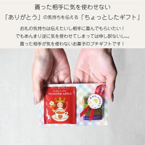 プチギフト カレルチャペック GODIVA ス...の詳細画像5