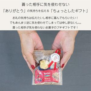 プチギフト ロシェ スイスデリス Loacke...の詳細画像4