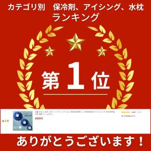 氷嚢 氷のう 保冷 スポーツ アイシング ゴル...の詳細画像1