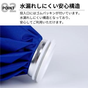 氷嚢 氷のう 保冷 スポーツ アイシング ゴル...の詳細画像4