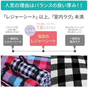 レジャーシート 厚手 200×200 大判 洗...の詳細画像3